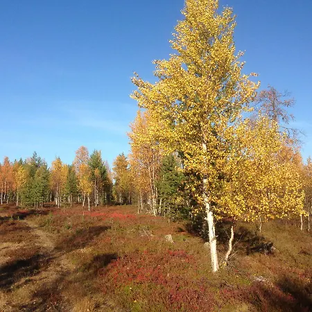 Bed and breakfast Vuotson Maja 3*