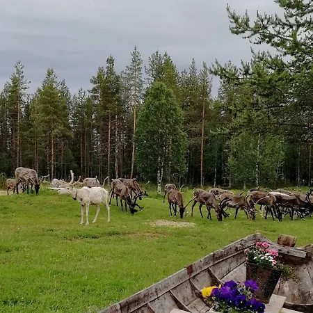 Vuotson Maja Bed & Breakfast 3*