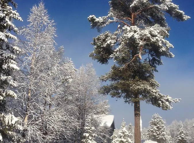 Vuotson Maja 3* Vuotso