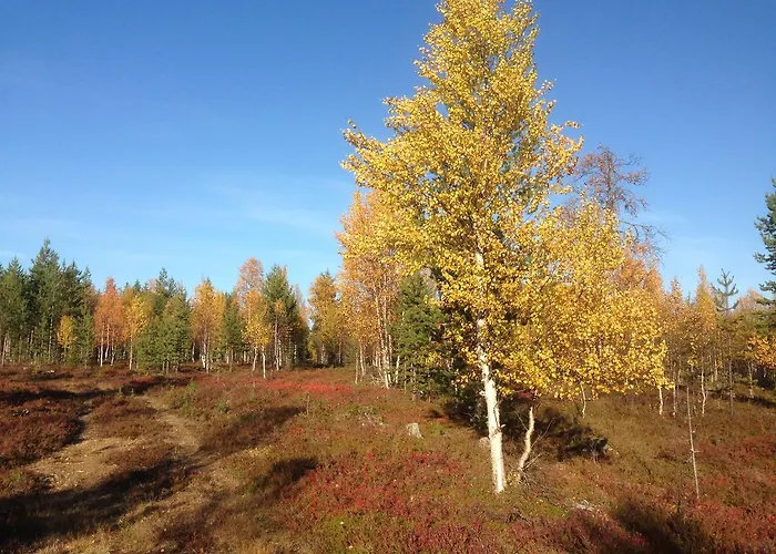 Bed & Breakfast Vuotson Maja 3*