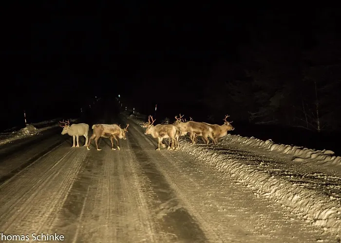 Bed & Breakfast Vuotson Maja