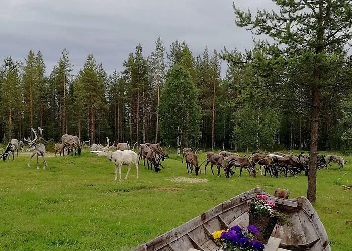 Vuotson Maja Bed & Breakfast 3*