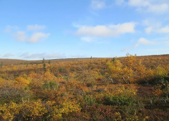 Bed & Breakfast Vuotson Maja